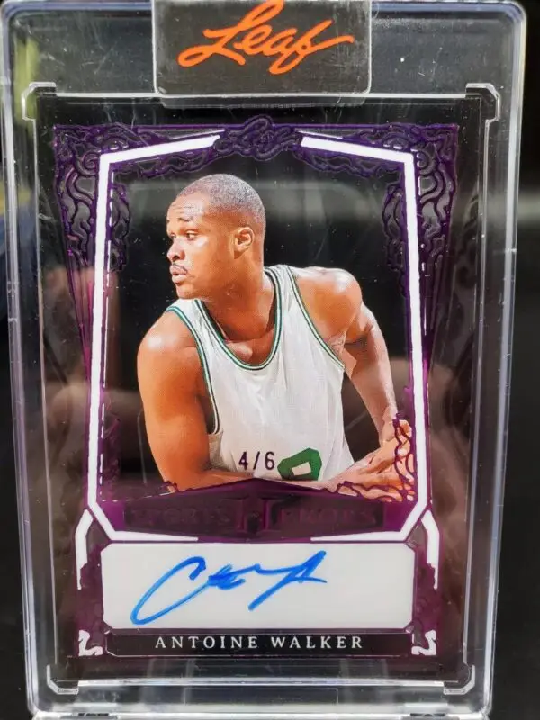 2025 Leaf Sport Heroes Antoine Walker Purple Auto /6 Boston Celtics BA-AW1