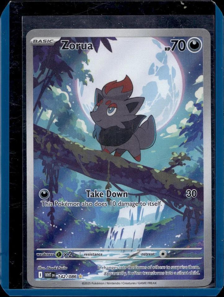 Zorua Pokemon SV: White Flare 142/086