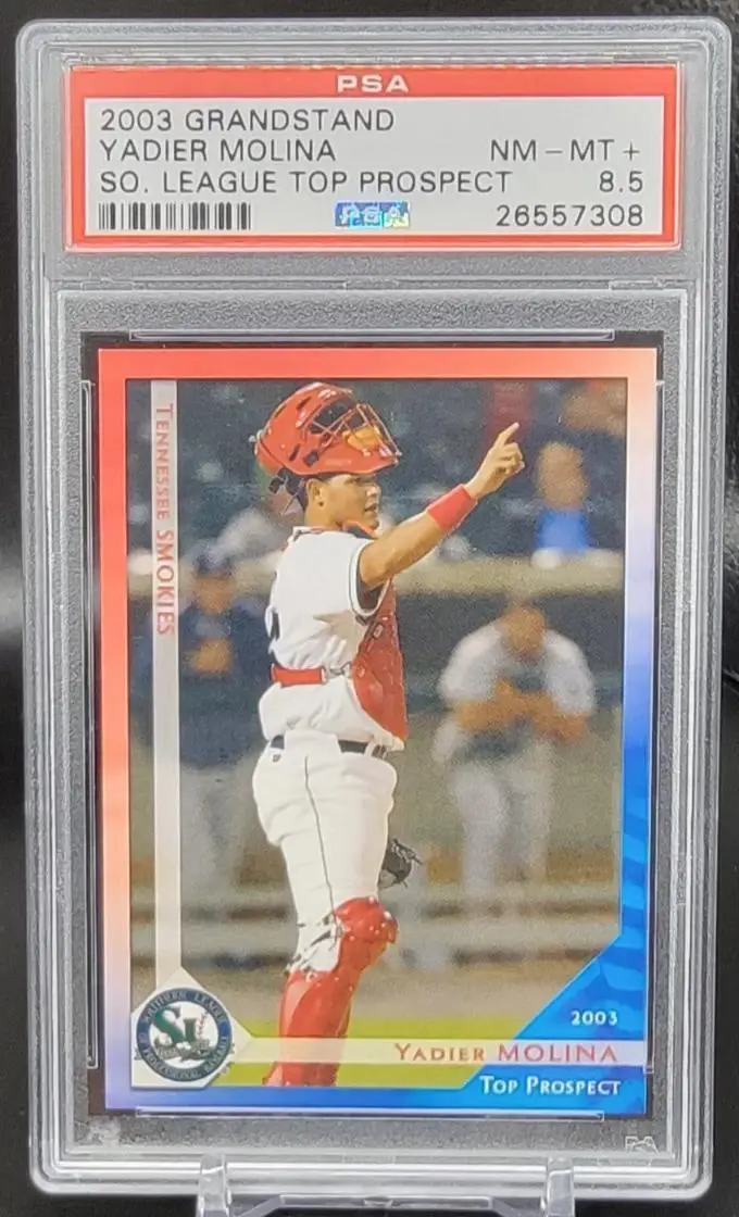 Yadier Molina 2003 Grandstand St. Louis Cardinals PSA 8.5