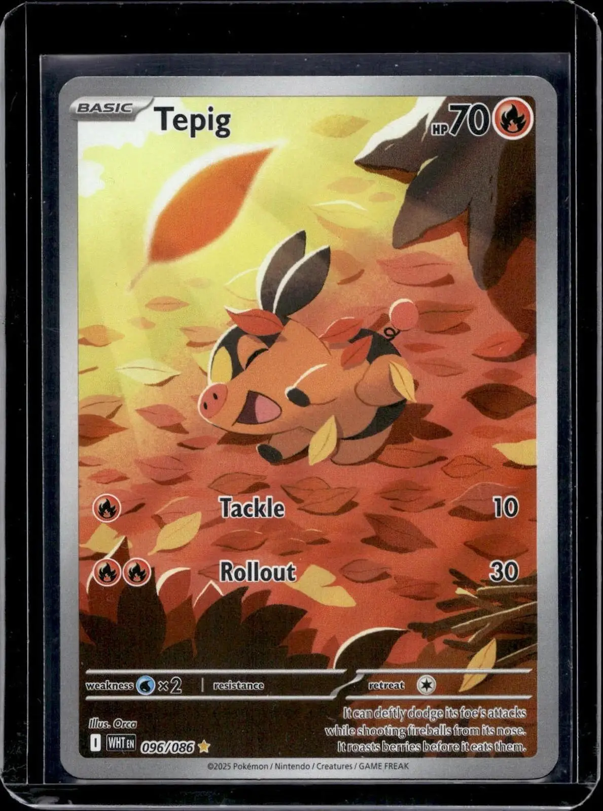 Tepig Pokemon SV: White Flare 096/086