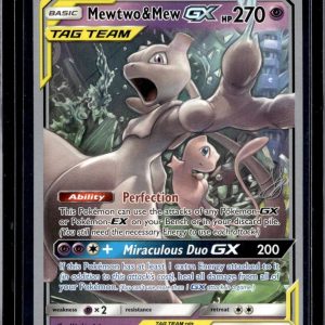 Mewtwo & Mew GX Pokemon World Championship Decks 71/236