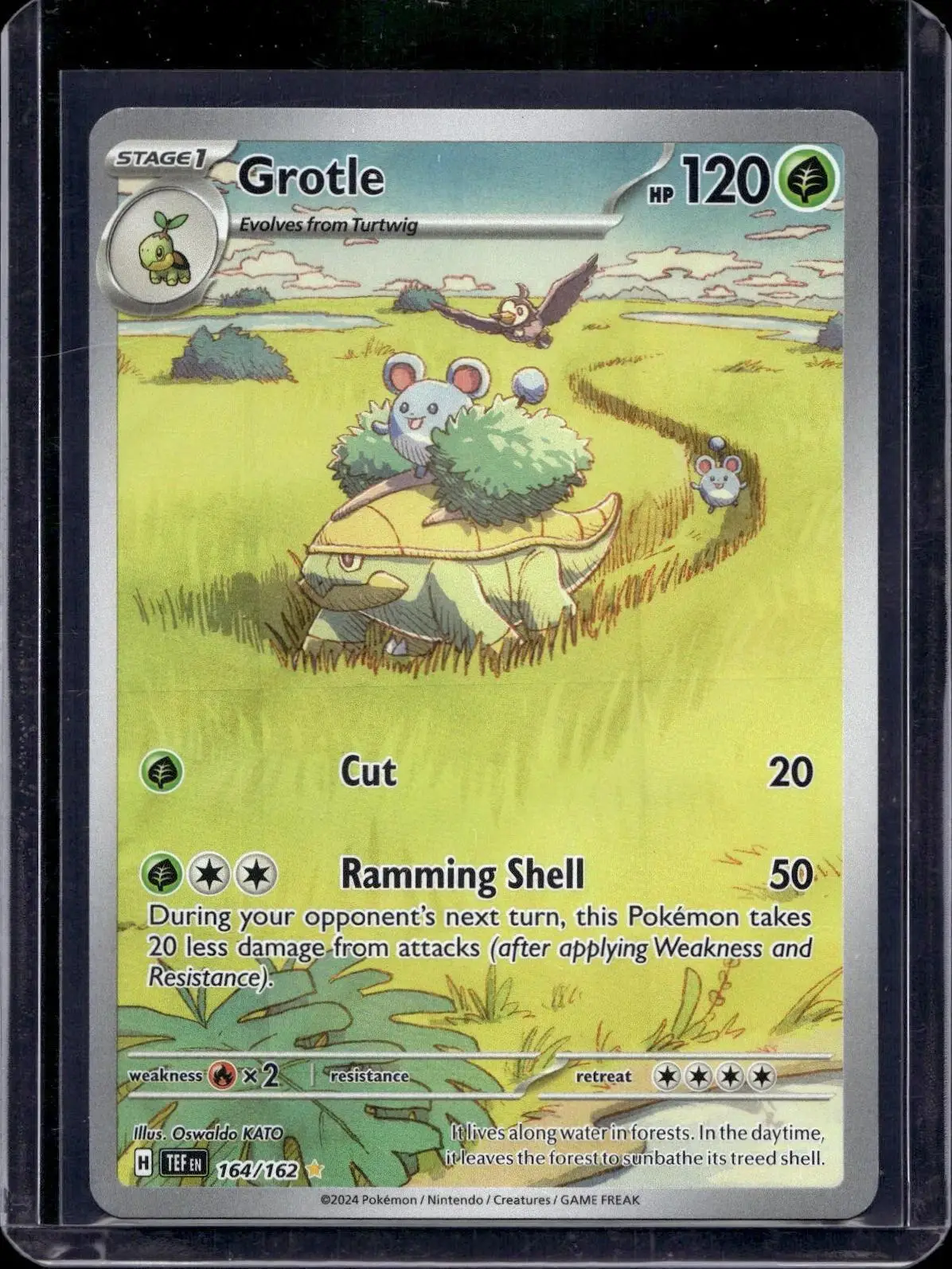 Grotle Pokemon SV05: Temporal Forces 164/162